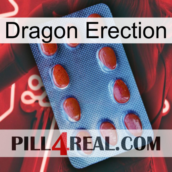 Dragon Erection 06.jpg